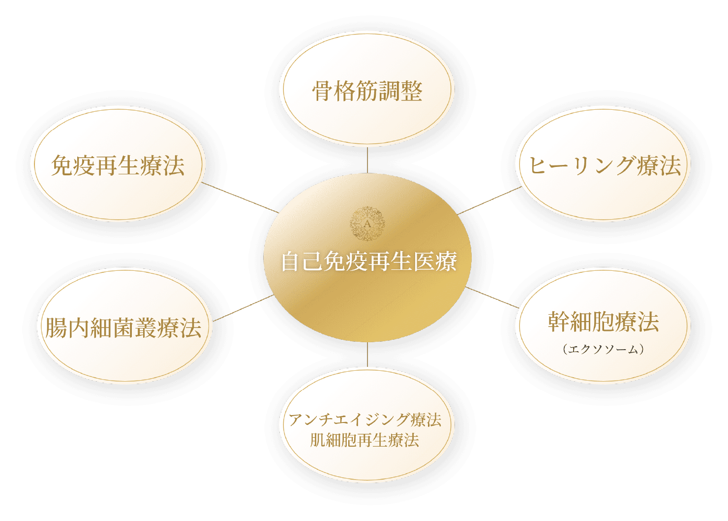 自己免疫再生医療　骨格筋調整　ヒーリング　幹細胞療法　アンチエイジング療法　肌細胞再生療法　腸内細菌療法　免疫再生療法